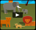 vidéo - Les animaux de la savane africaine